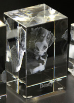 3D Glasblock mit Hund und Schriftzug