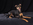 Haustieraktion Hund