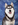 Haustieraktion Husky