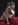 Haustieraktion Hund