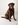 Haustieraktion Hund